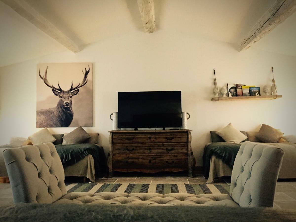 Saint-Laurent-dʼAigouze Mas Du Grand Bordes B&B 외부 사진