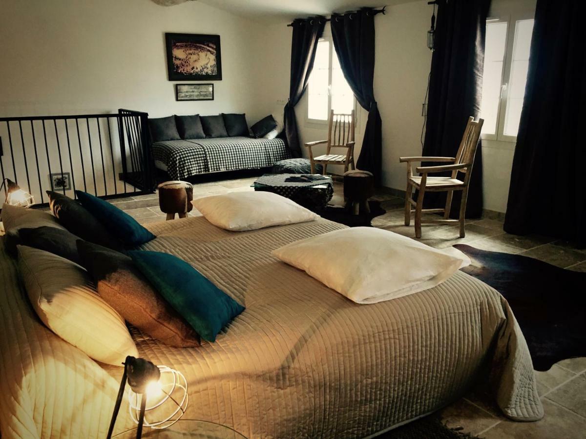 Saint-Laurent-dʼAigouze Mas Du Grand Bordes B&B 외부 사진